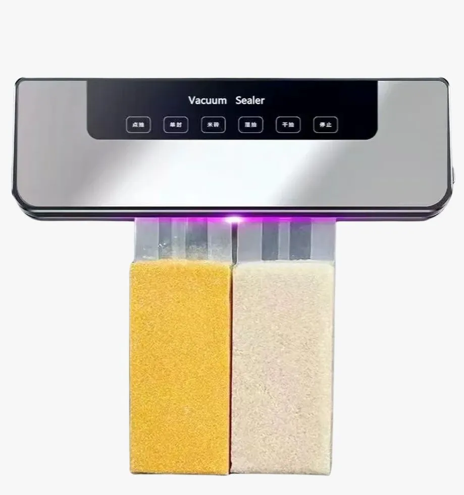 Vacuum Sealers Series
DZ200 In Black and Grey